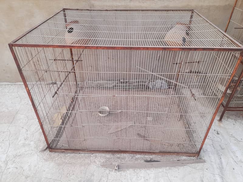 Selling Cages 2