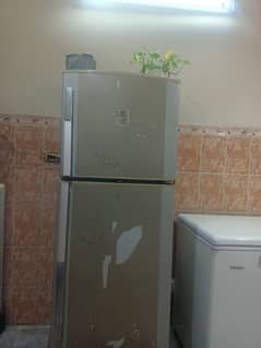 fridge