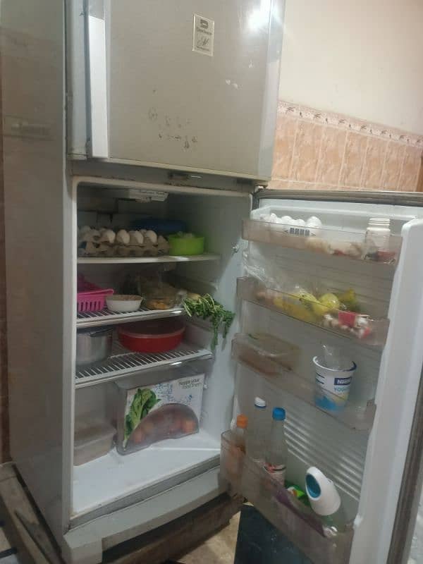 fridge 1