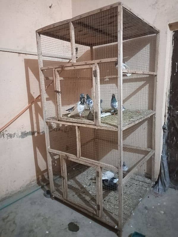 cage for sale 0