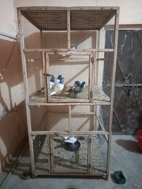 cage for sale 2