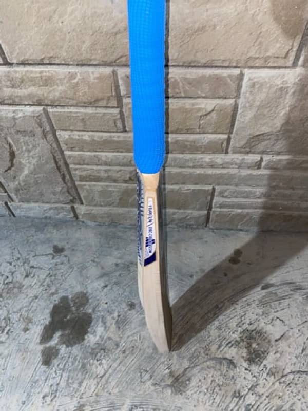 DSC original Bat 1