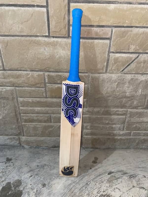 DSC original Bat 2