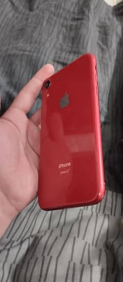 Iphone XR Non PTA 64GB