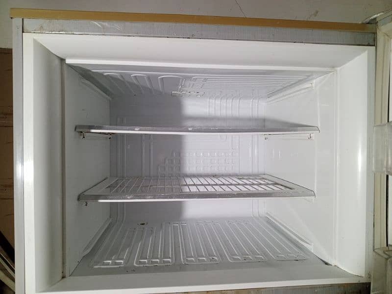 Pel Fridge 2