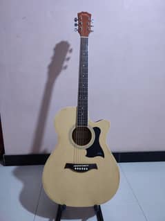 Acoustic Guitar