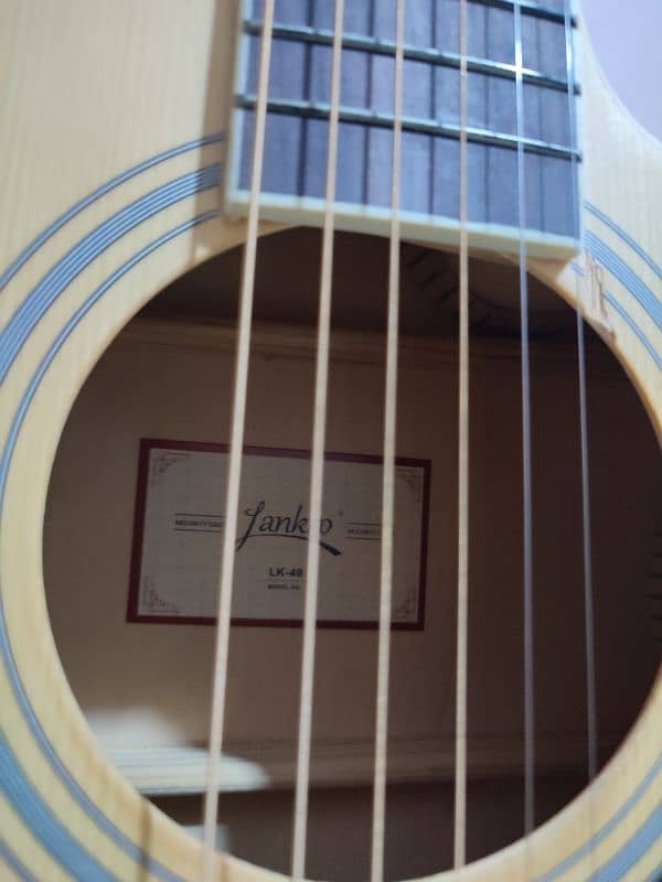 Acoustic Guitar 2