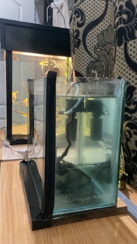 aquariums for sale 2