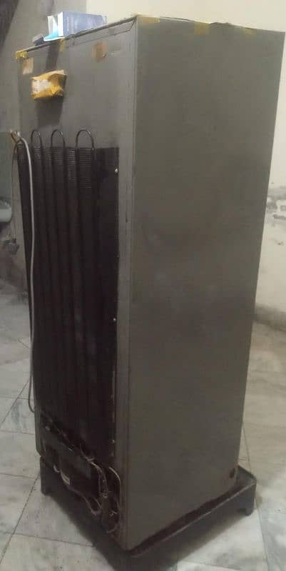 Dawlance H. Zone fridge for sale in good shape 11