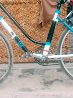 Giant eagle brand SOHRAB bicycle