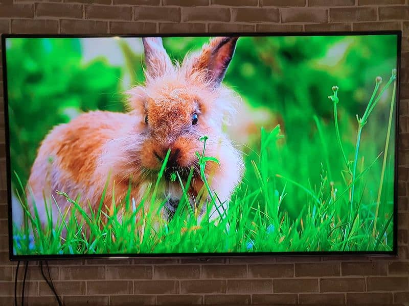 imported TCL 65"lnch smart led TV 5