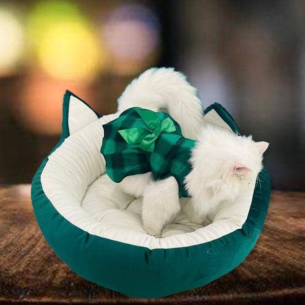 Cat ear pet bed (FREE HOME DELIVERY ALL OVER THE PAKISTAN) 2