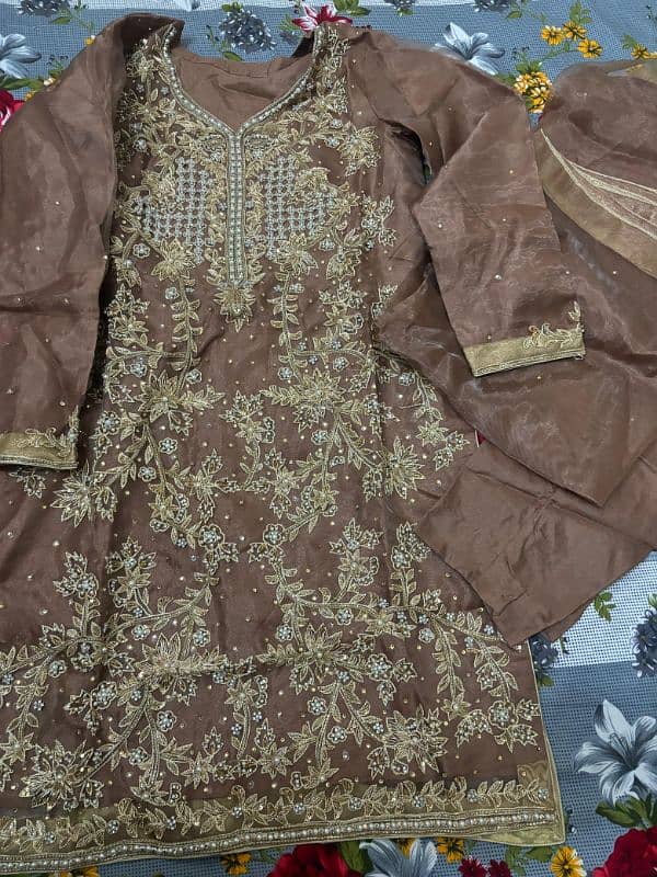 Reshmi Marriage Order Suit 2