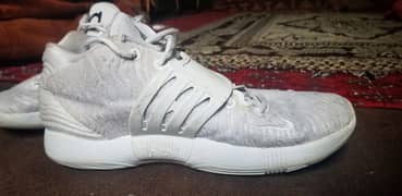 Nike KD 14 White Shoes