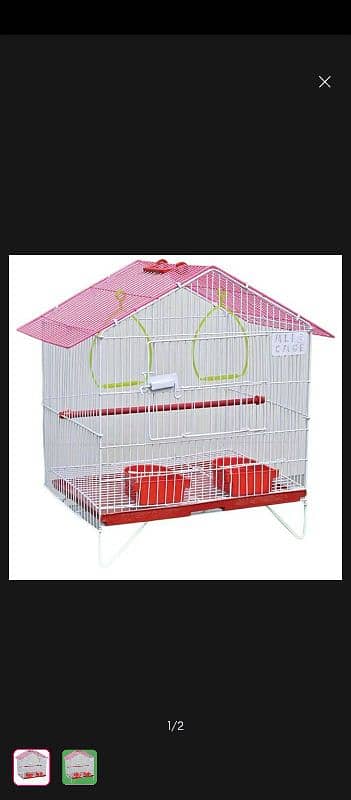 cage birds 2