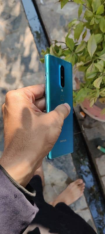 OnePlus 8 mobile 8ram 128GB pta oka  10by10 full oka 5