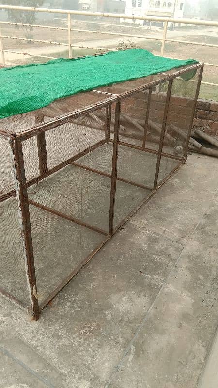 Hen and Dog Cage 2