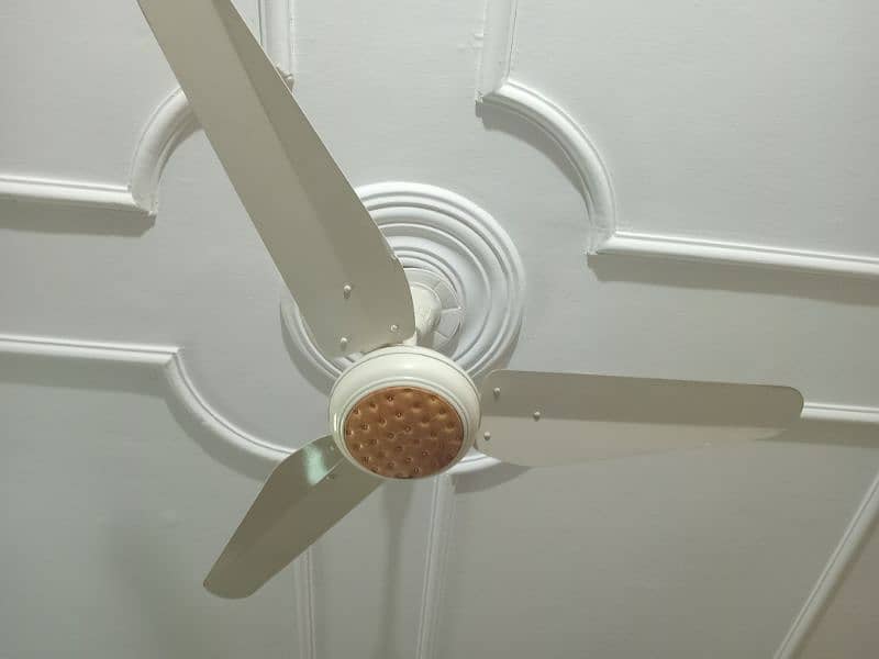 Sale of new brand Ceiling fans 1