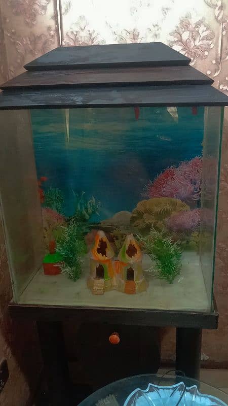 24x24 Fish Aquarium with Wooden Drawer 0