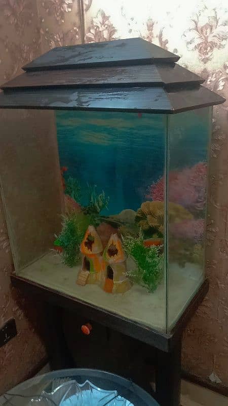 24x24 Fish Aquarium with Wooden Drawer 1