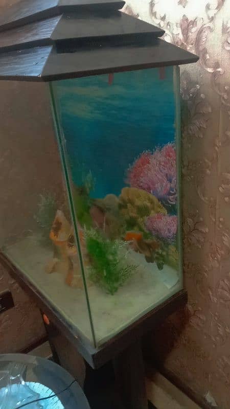 24x24 Fish Aquarium with Wooden Drawer 2