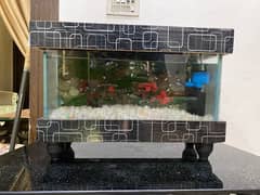 aquarium for sale