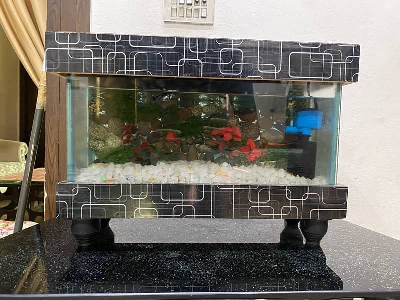 aquarium for sale 0