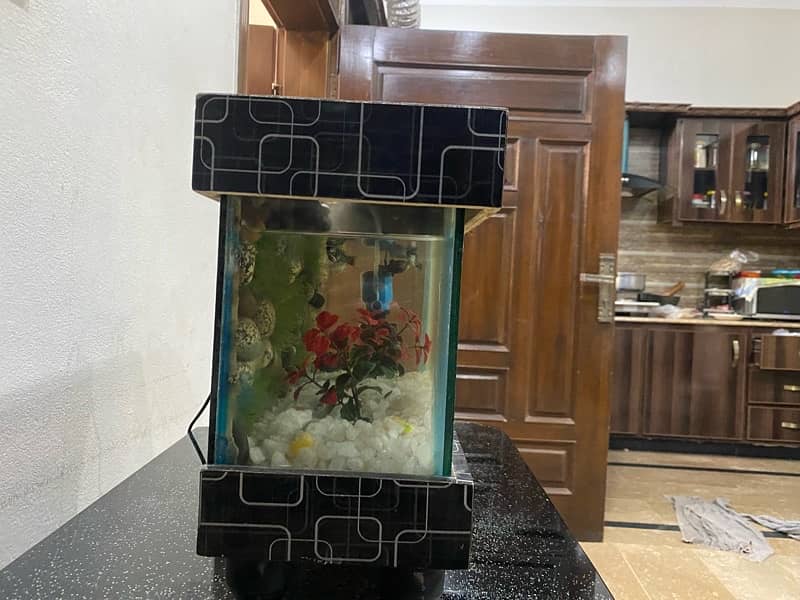 aquarium for sale 2