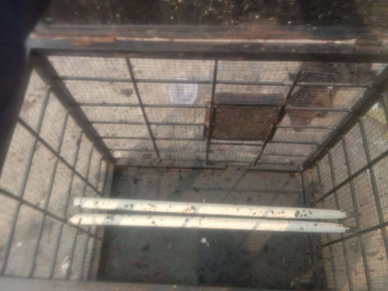 2cage for sale 0