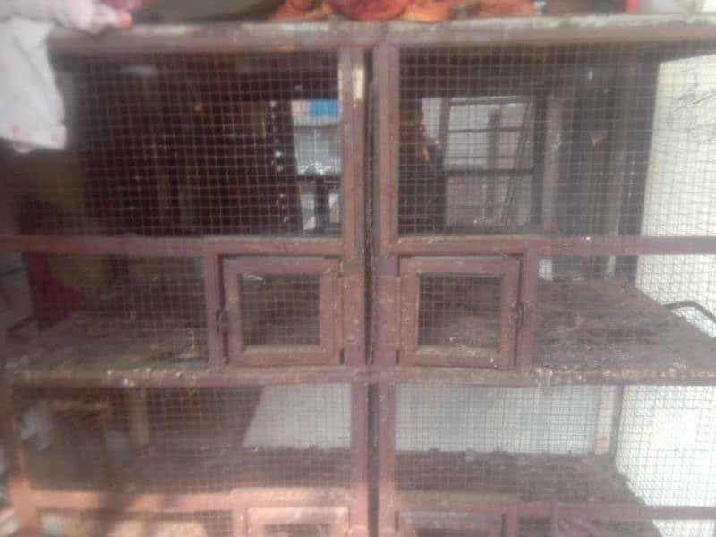 2cage for sale 1