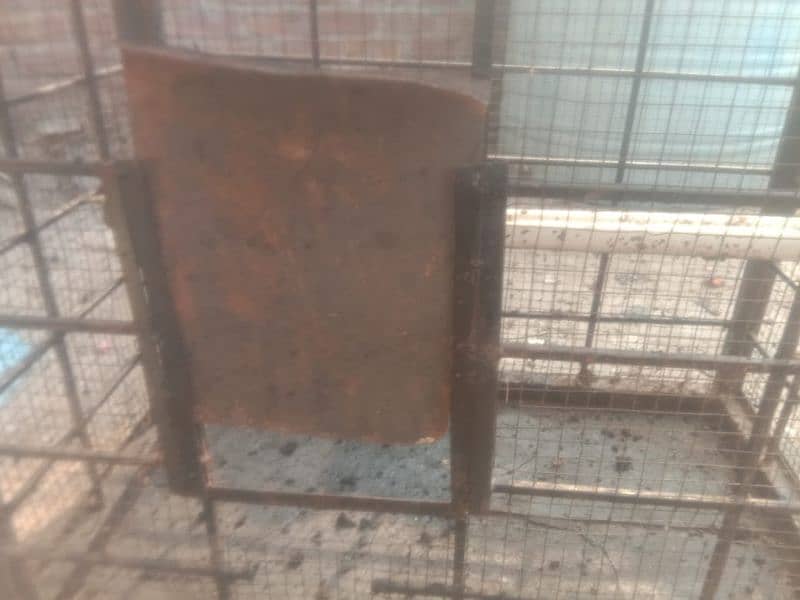 2cage for sale 2