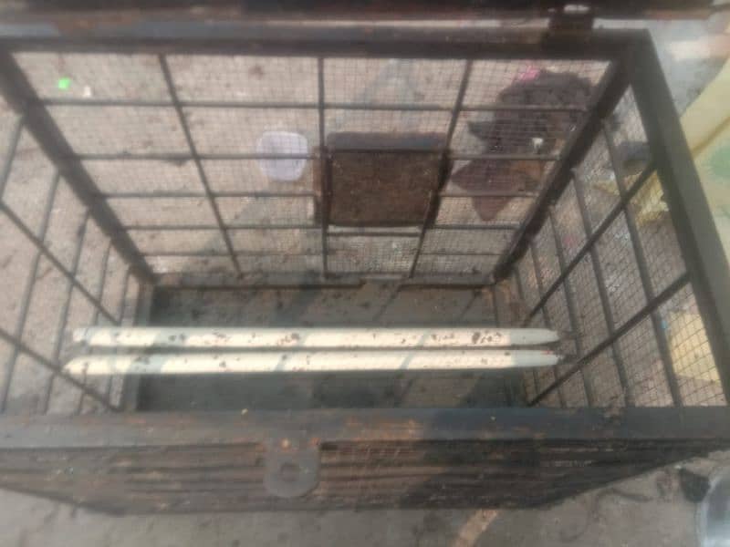 2cage for sale 5