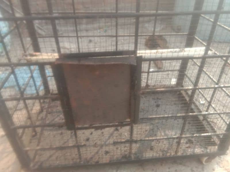 2cage for sale 9