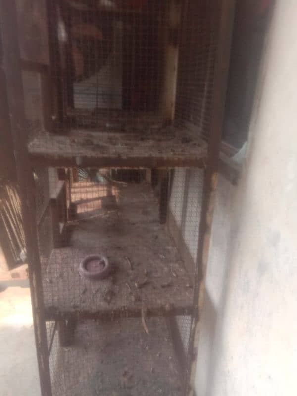 2cage for sale 11