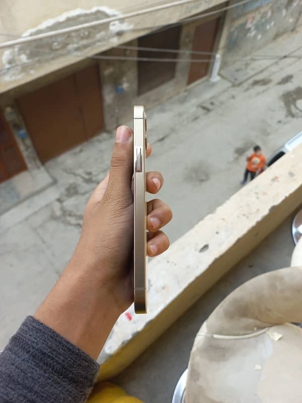 iphone 12pro 256gb (factory unlock) 1