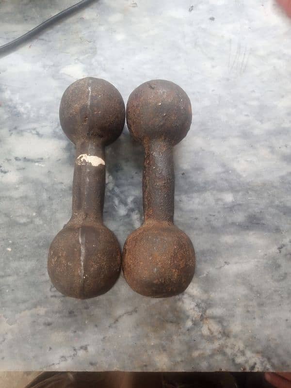 Dumbbells for sale 1