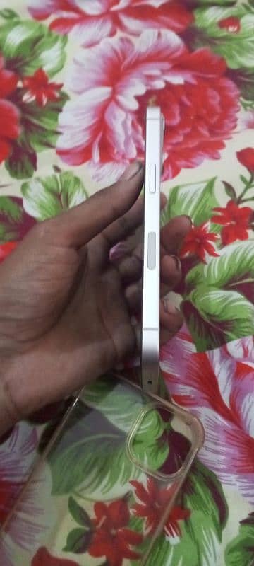 iphone 13 clear condition 3