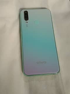 vivo