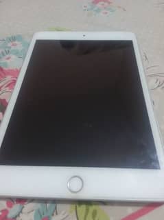 ipad mini 5