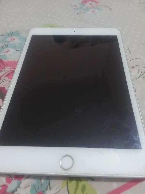 ipad mini 5 0