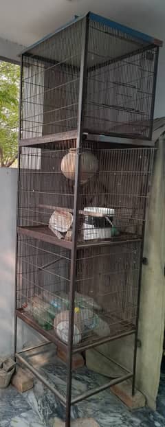 Birds/parrots cage 0333-0611001