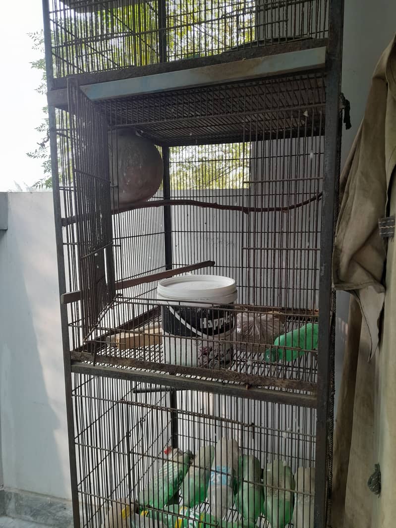 Birds/parrots cage 0333-0611001 1