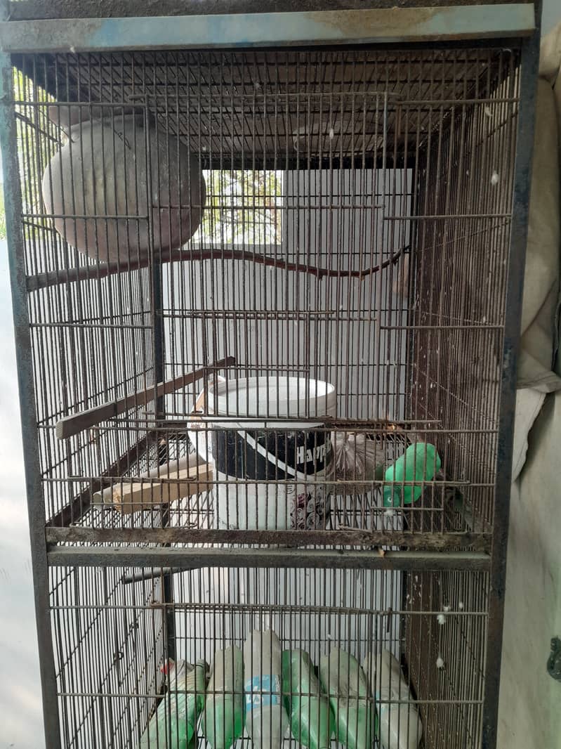 Birds/parrots cage 0333-0611001 2