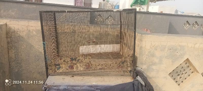 Pet Cages 2