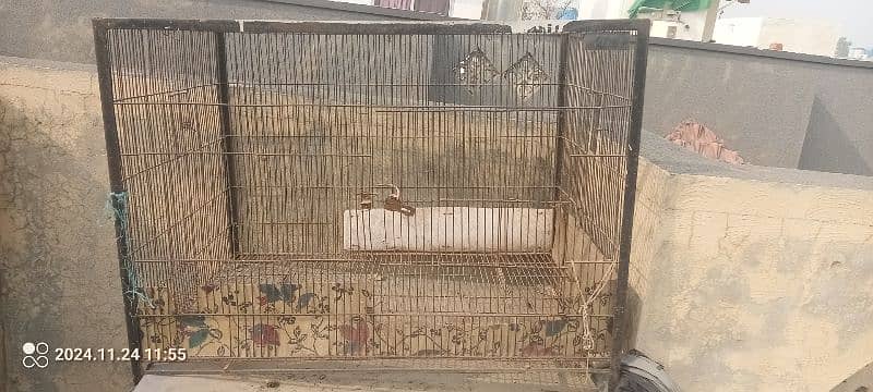 Pet Cages 3