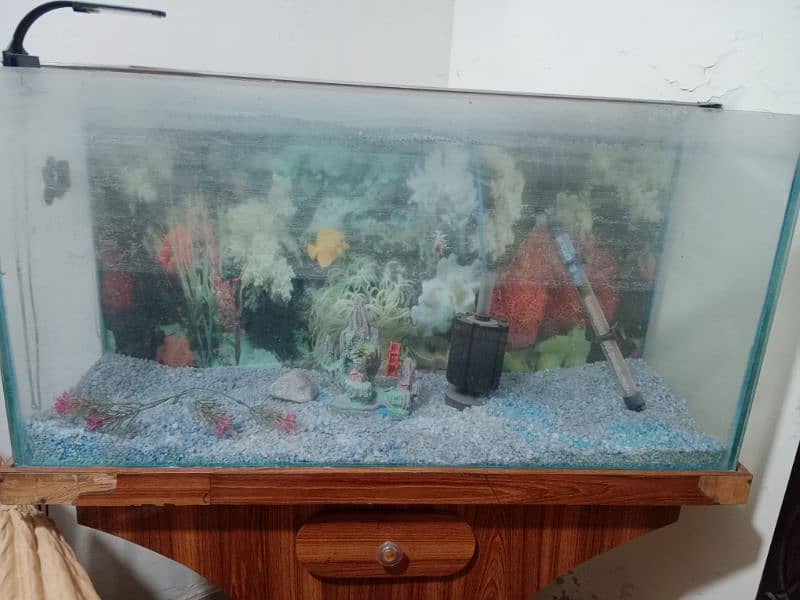 3ft Fish Aquarium 0