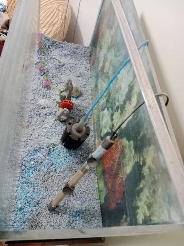 3ft Fish Aquarium 4