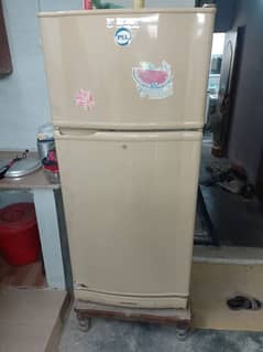 pel fridge 9 cubic