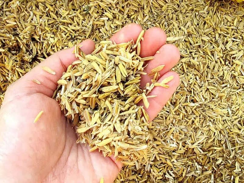 Rice Husk For Sale Chawal ka Chilka چاول کاچھلکا 0