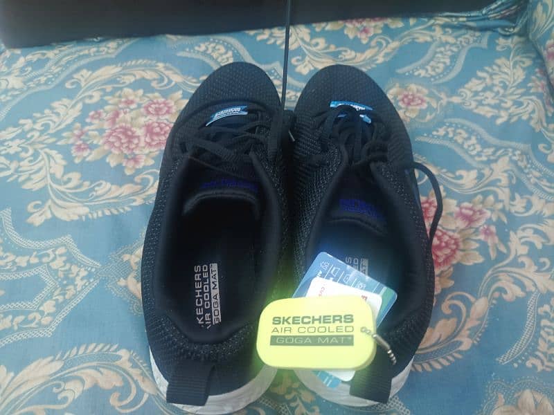 Brand new Sketchers shoes 0